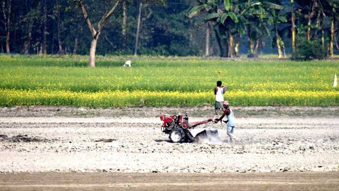 Kvic Launches Sandalwood And Bamboo Plantation A New Initiative To Spur Monetization Of Its Assets Indian Industry Plus